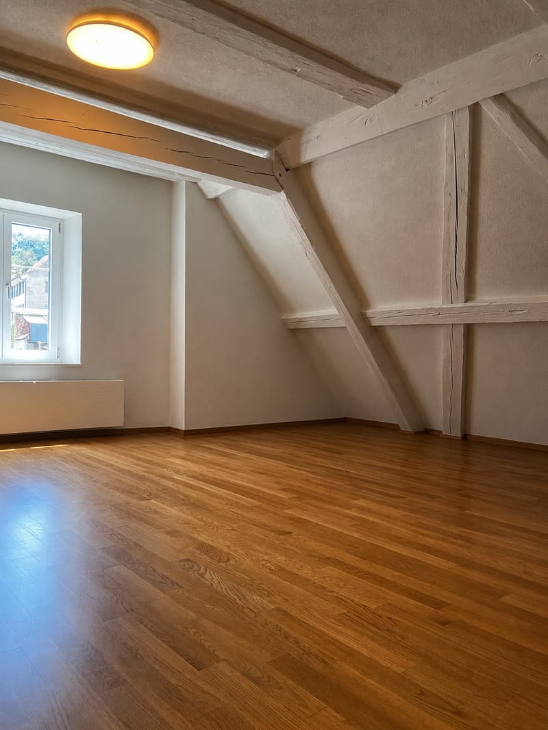 Appartamento di 3 camere accogliente a Flüh (7)