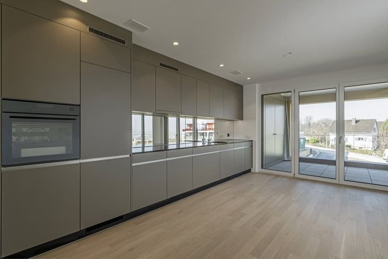 Abitazione moderna ed ecologica nel nuovo quartiere di Sirius (2)