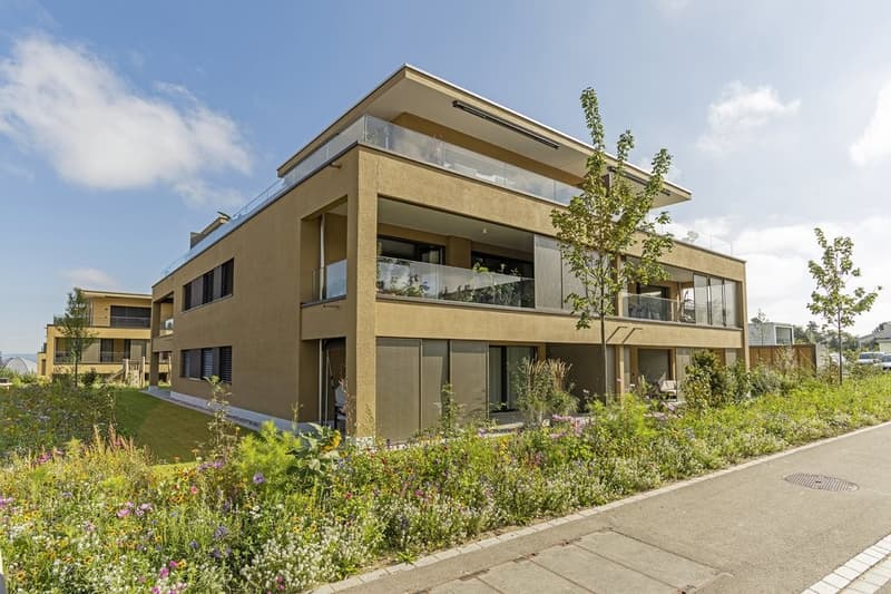 Habitation moderne et écologique dans le nouveau quartier de Sirius (1)