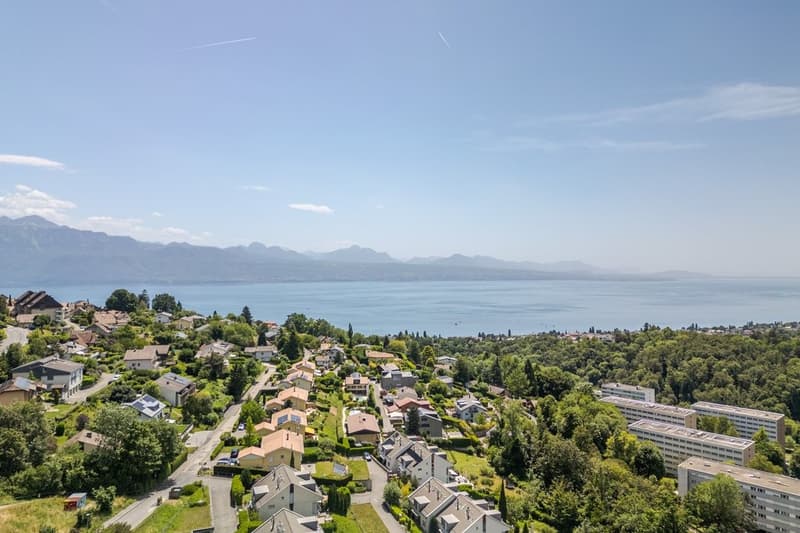 Monts-de-lavaux_5A_-_Belmont_-_drone-8.jpg