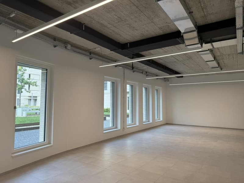 Affittasi Nuovi e moderni spazi commerciali a Giubiasco (4)