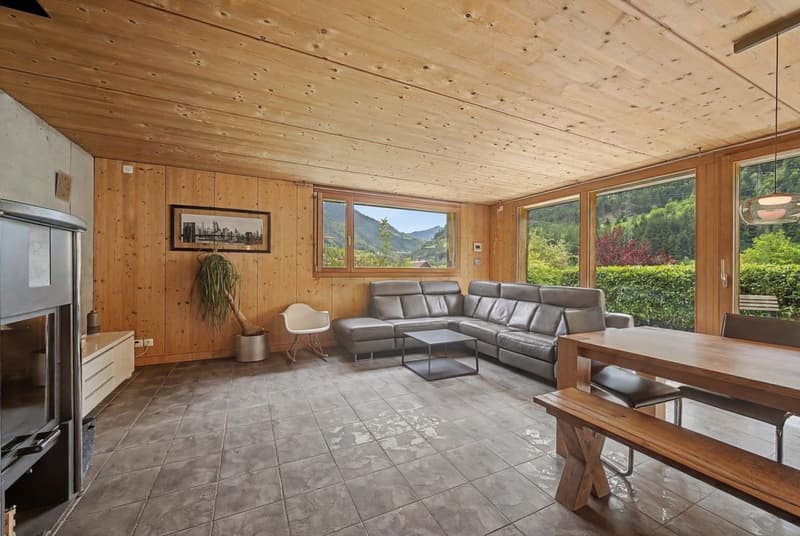 Family Paradise with Garden and Mountain View (9)