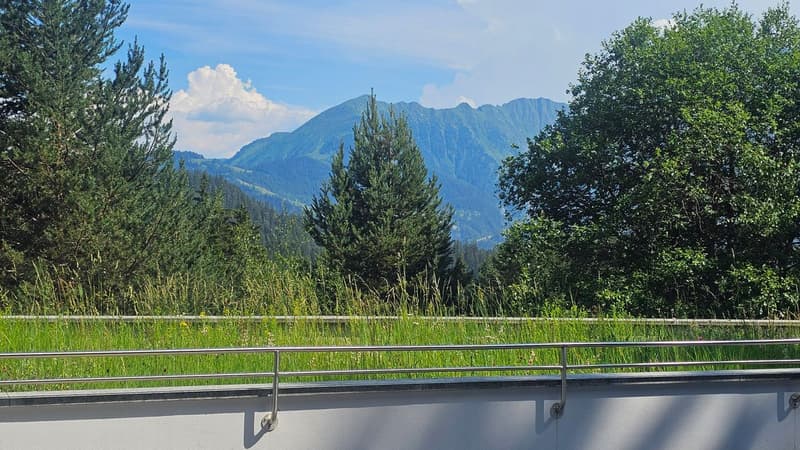 ALPINE FERIENWOHNUNG MIT TRAUMTERRASSE UND SPA (3)