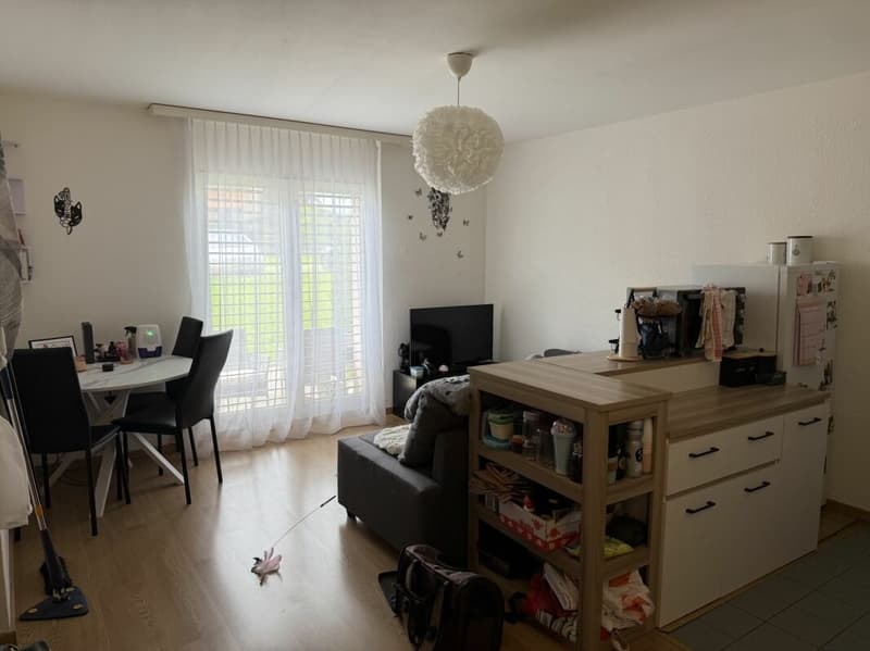 Châtel-Saint-Denis Studio 1 - Lot B3 (1)