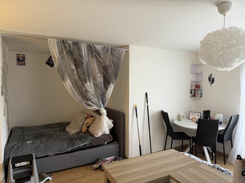 Châtel-Saint-Denis Studio 1 - Lot B3 (5)