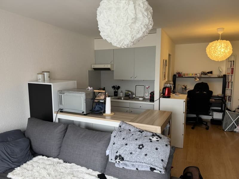Châtel-Saint-Denis Studio 1 - Lot B3 (3)
