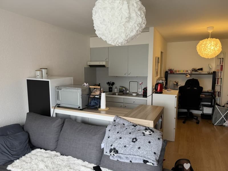 Châtel-Saint-Denis Studio 1 - Lot B3 (3)