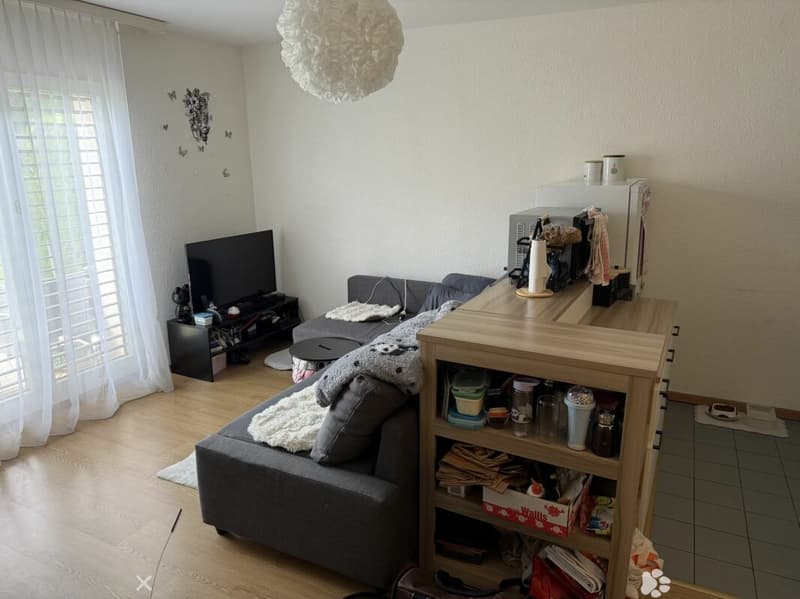 Châtel-Saint-Denis Studio 1 - Lot B3 (2)