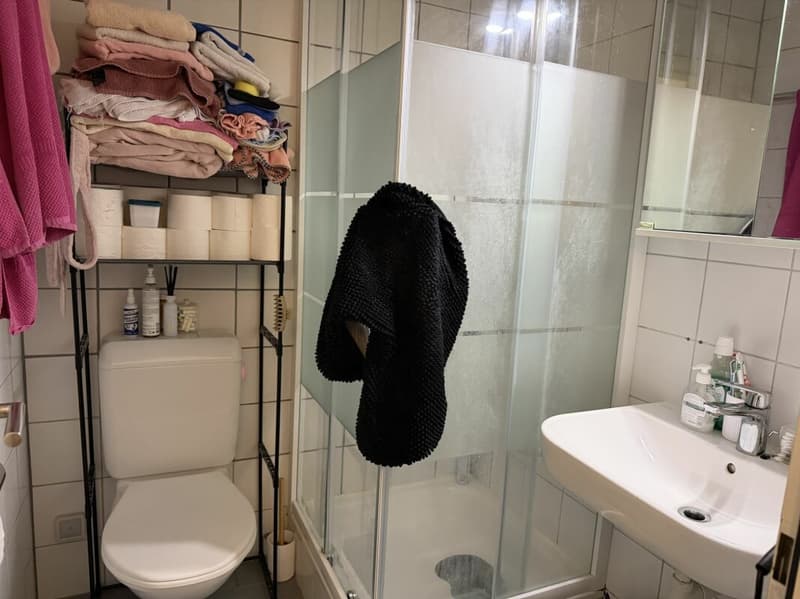 Châtel-Saint-Denis Studio 1 - Lot B3 (9)