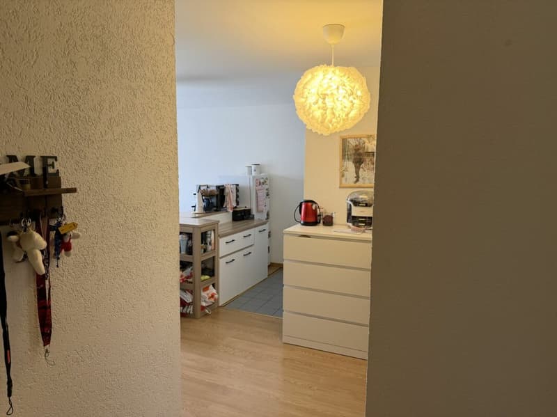 Châtel-Saint-Denis Studio 1 - Lot B3 (8)