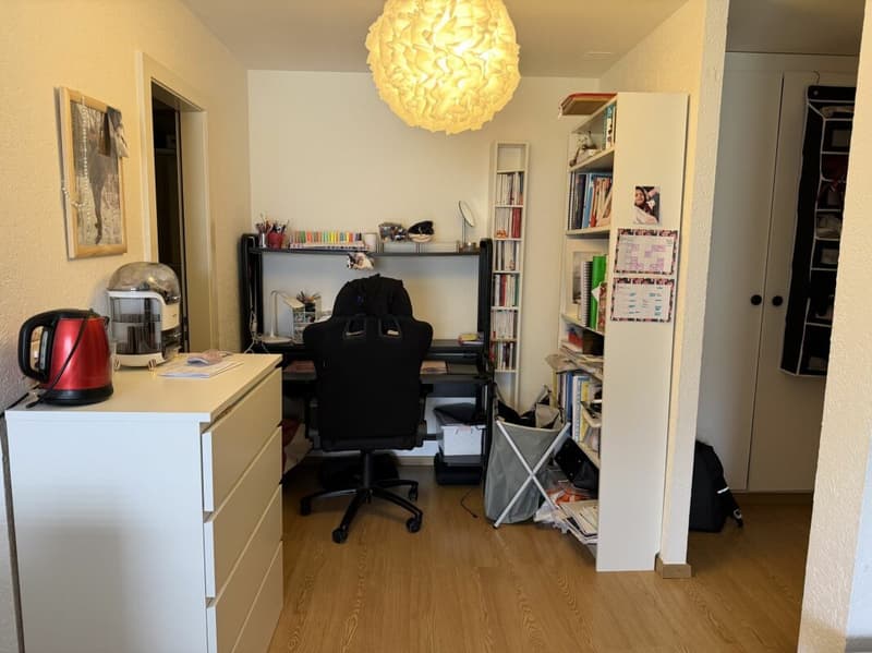 Châtel-Saint-Denis Studio 1 - Lot B3 (4)