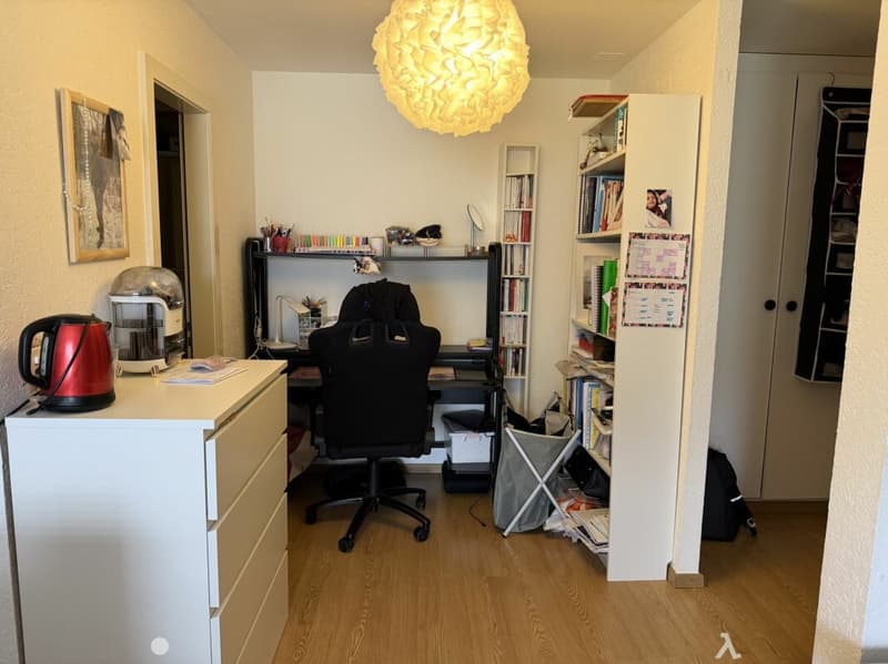 Châtel-Saint-Denis Studio 1 - Lot B3 (4)