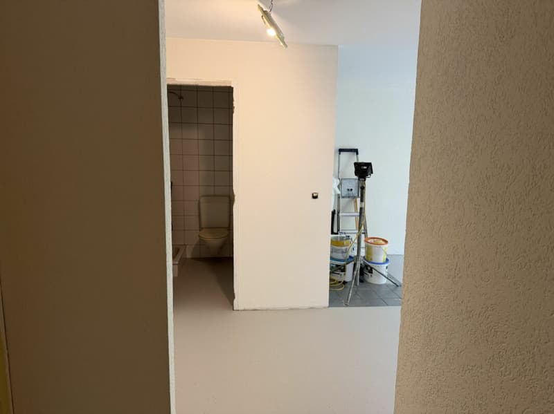 Châtel- Saint-Denis Studio 2 - Lot B2 (4)