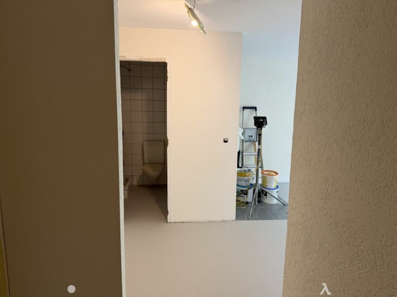 Châtel-Saint-Denis Studio 2 - Lot B2 (4)