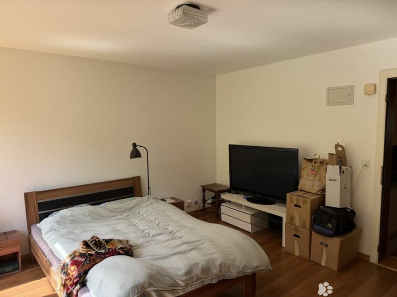 Châtel-Saint-Denis Studio 3 - B1 (2)