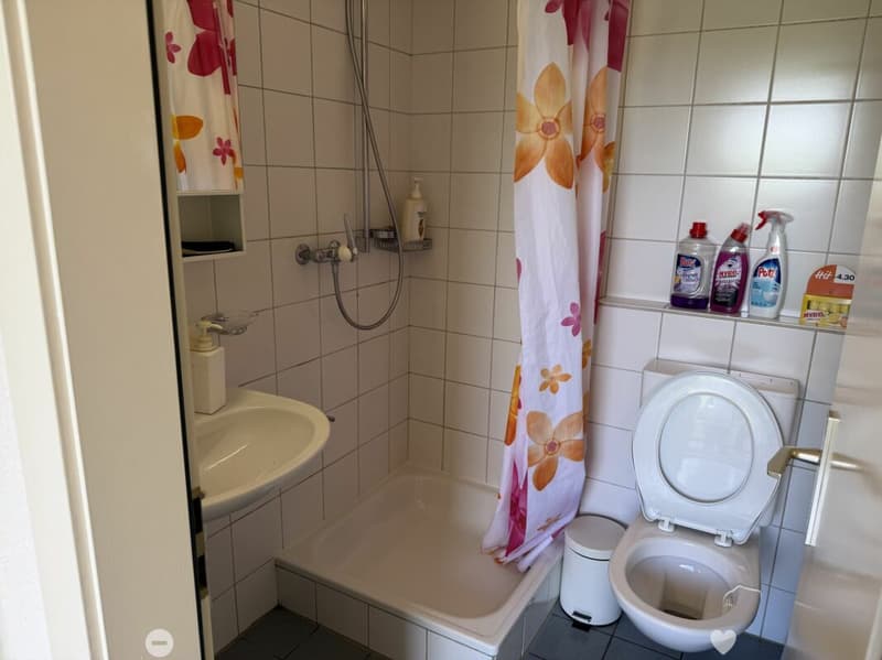 Châtel-Saint-Denis Studio 4 - B5 (7)