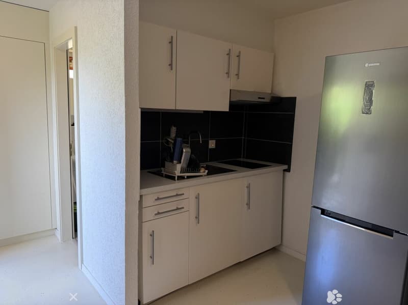 Châtel-Saint-Denis Studio 4 - B5 (2)