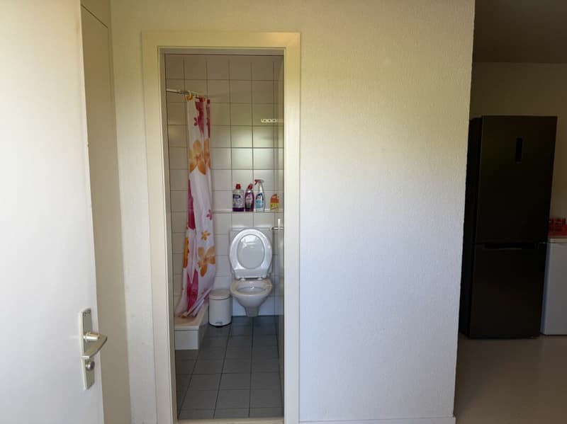 Châtel- Saint-Denis Studio 4 - B5 (6)