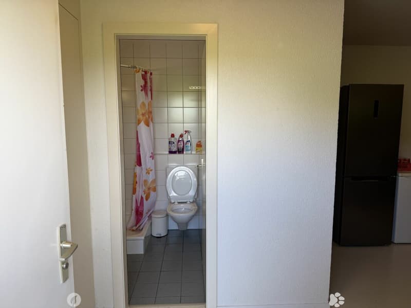 Châtel-Saint-Denis Studio 4 - B5 (6)
