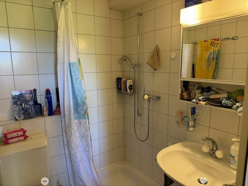Châtel-Saint-Denis Studio 5 - B4 (7)