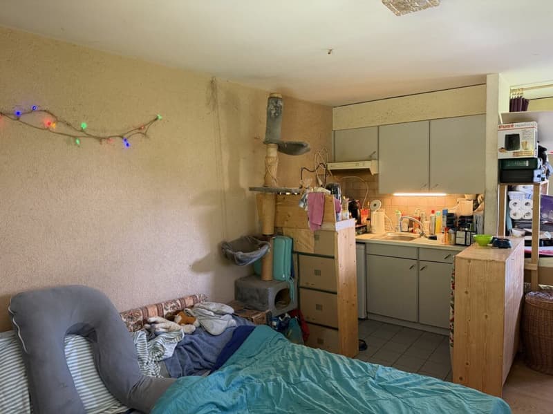 Châtel- Saint-Denis Studio 5 - B4 (5)