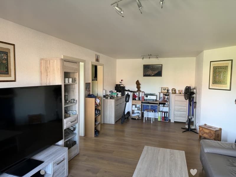 Châtel-Saint-Denis Wohnung 6 - B7 (3)
