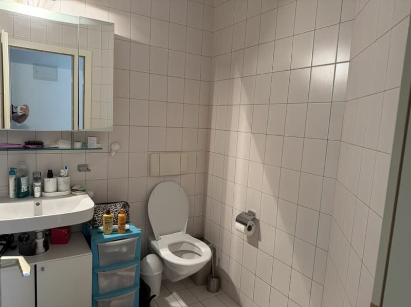 Châtel-Saint-Denis Wohnung 7 - B6 (12)