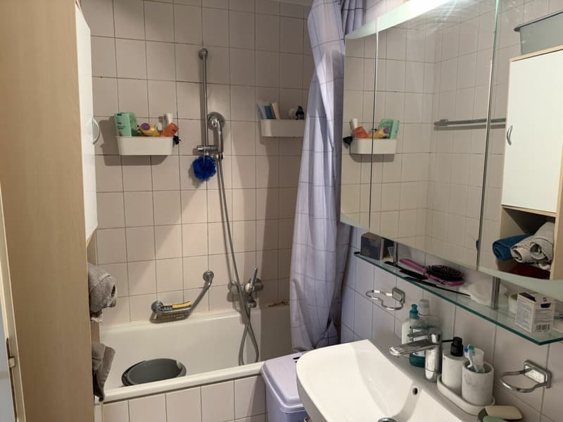 Châtel-Saint-Denis Wohnung 7 - B6 (13)