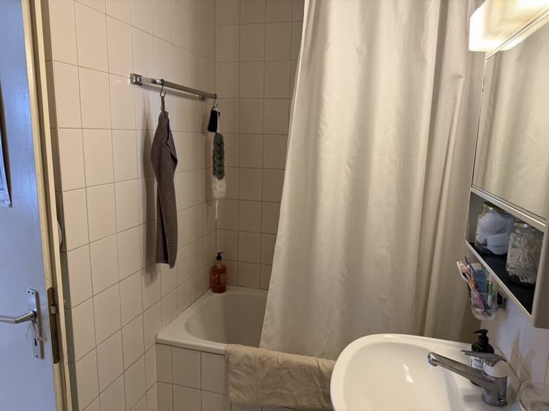 Châtel-Saint-Denis Apartment 8 - B8 (14)
