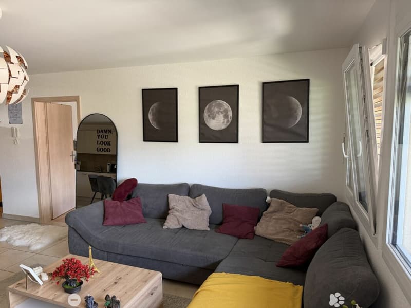 Châtel-Saint-Denis Appartement 11 - A8 (5)