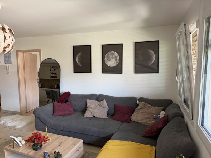 Châtel- Saint-Denis Appartement 11 - A8 (5)