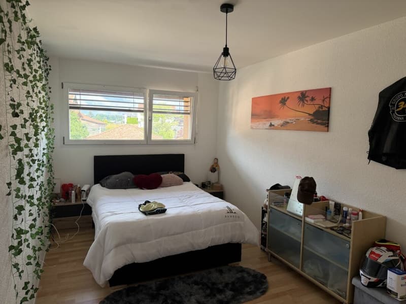 Châtel-Saint-Denis Appartement 11 - A8 (9)