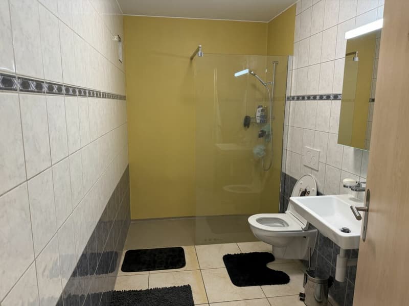 Châtel-Saint-Denis Appartement 11 - A8 (12)