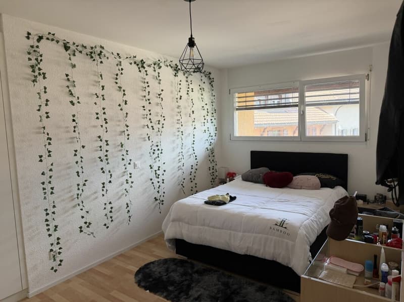 Châtel-Saint-Denis Appartement 11 - A8 (8)