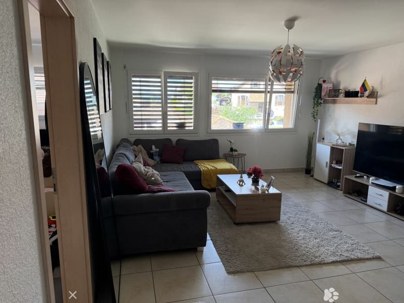 Châtel-Saint-Denis Appartement 11 - A8 (2)