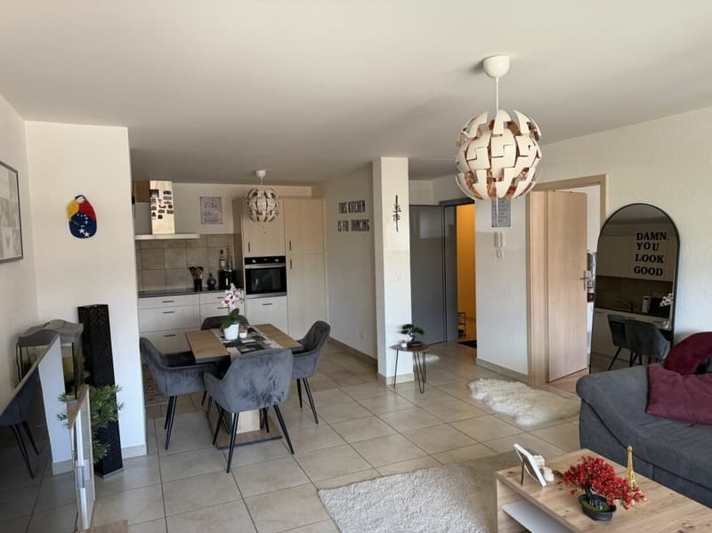 Châtel- Saint-Denis Appartement 11 - A8 (4)