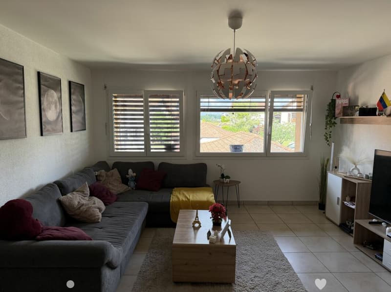 Châtel-Saint-Denis Appartement 11 - A8 (1)