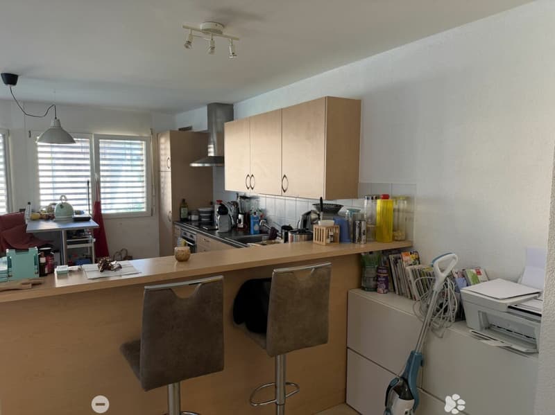 Châtel-Saint-Denis Appartement 12 - A3 (5)
