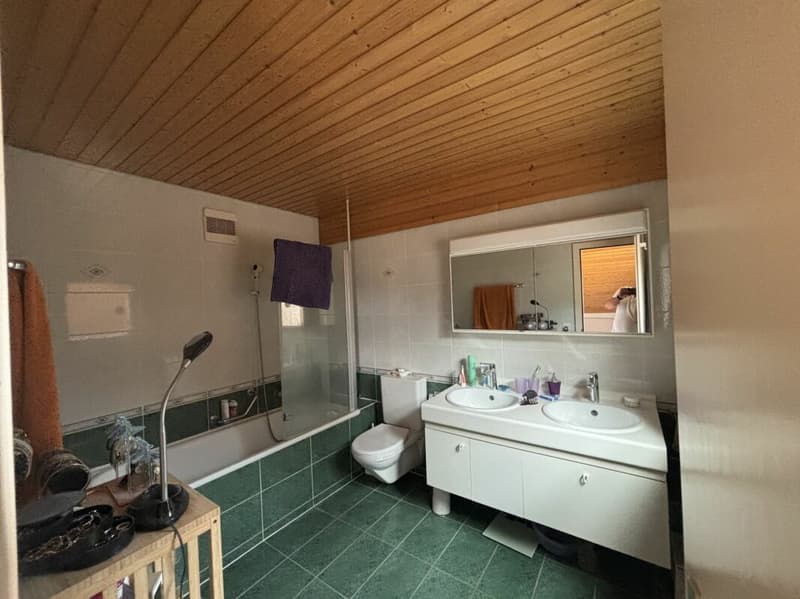 Châtel-Saint-Denis Appartement duplex 9 - B9 (26)