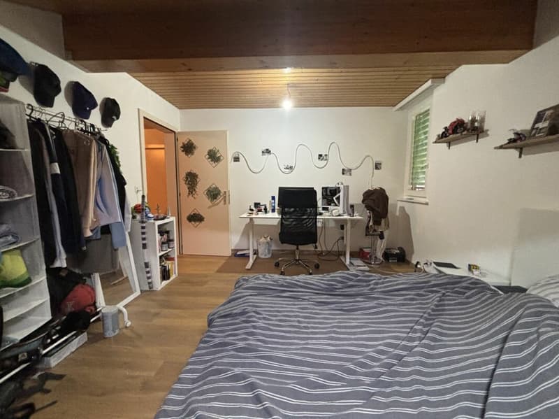 Châtel-Saint-Denis Appartement duplex 9 - B9 (20)