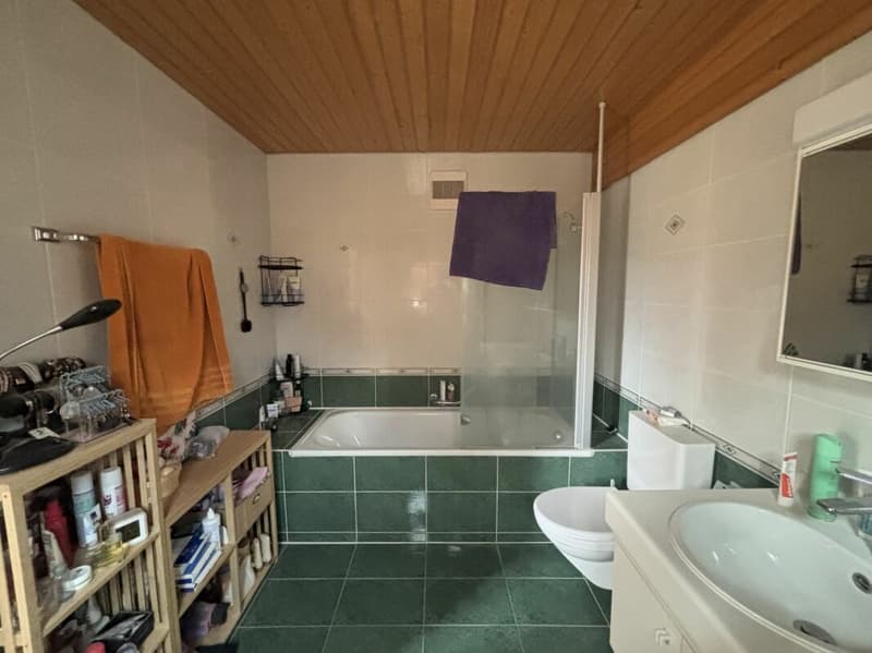 Châtel-Saint-Denis Appartement duplex 9 - B9 (25)