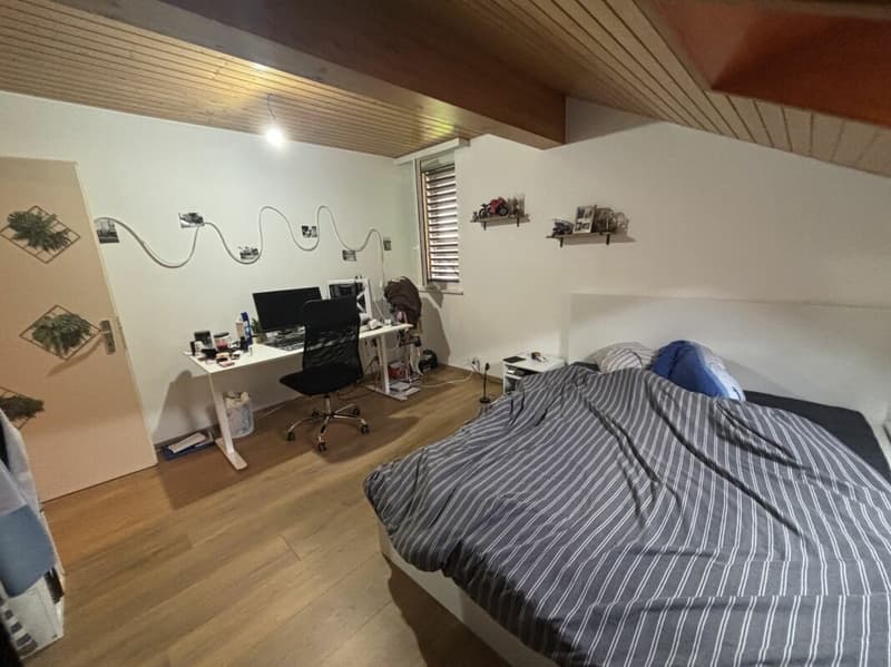 Châtel-Saint-Denis Appartement duplex 9 - B9 (21)