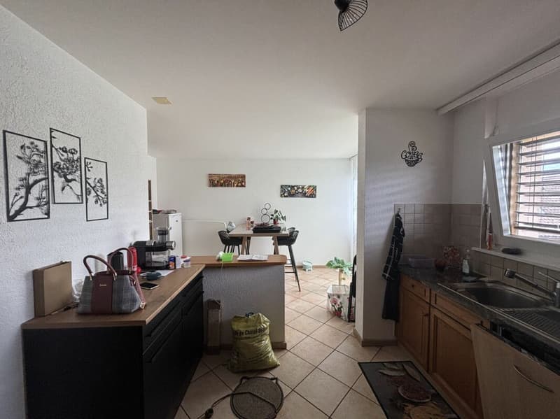 Châtel-Saint-Denis Appartement duplex 9 - B9 (9)