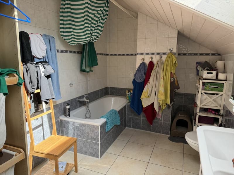 Châtel-Saint-Denis Appartement 14 - A9 (17)