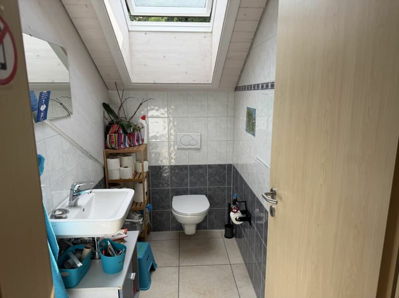 Châtel-Saint-Denis Appartement 14 - A9 (15)