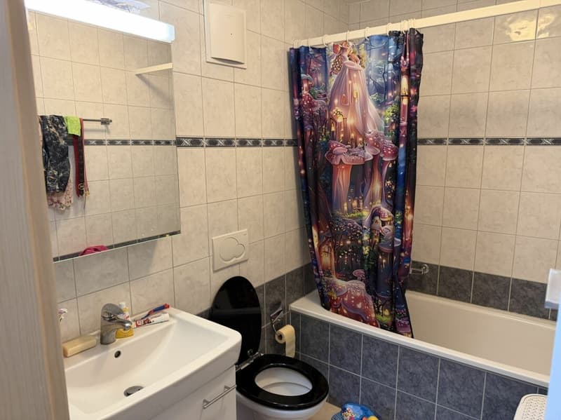 Châtel- Saint-Denis Appartement 13 - A7 (11)