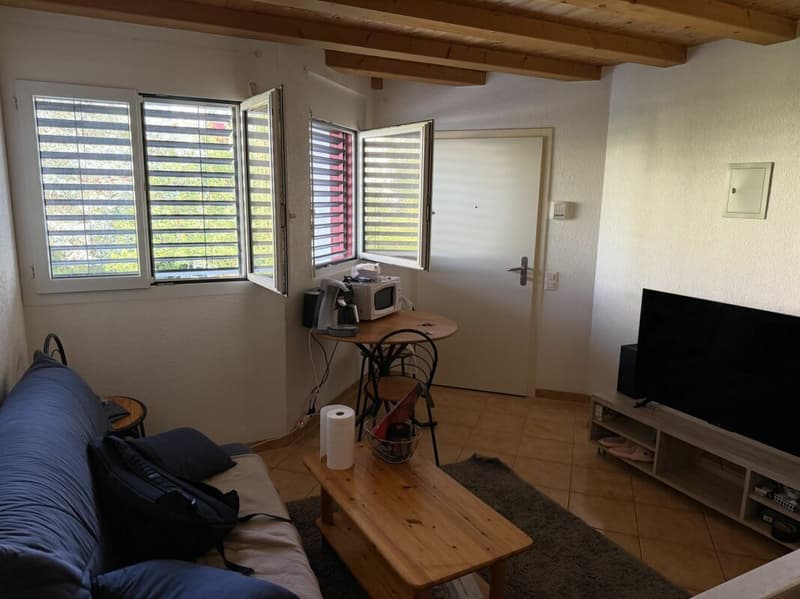 Belfaux - Appartement A3 - 2.0 pcs (1)