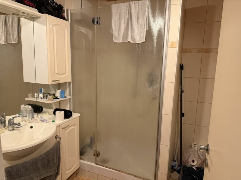 Belfaux - Appartement A3 - 2.0 pcs (7)