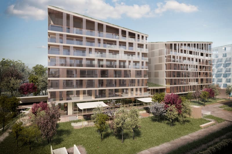 Appartements de 1.5 pièces - Ecoquartier des Echervettes, Romont (7)