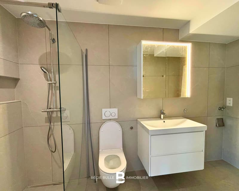 Giffers - Magnifique appartement de 3.5 pièces à louer (9)
